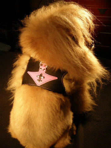 Featured Products - Leather Harnesses -  New Gatsby Collection