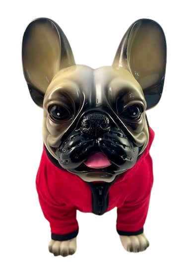 Dog Hoodies