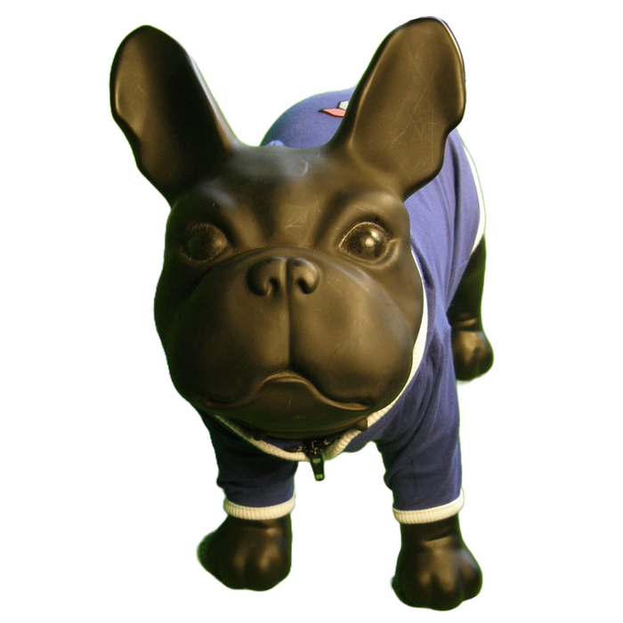 Dog Hoodies