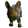 Dog Hoodies