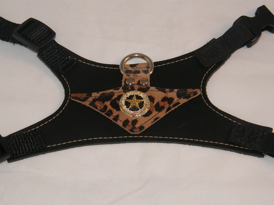 Beverly Hills:   Leopard Print on Black Leather - Gold Silver & Black Star