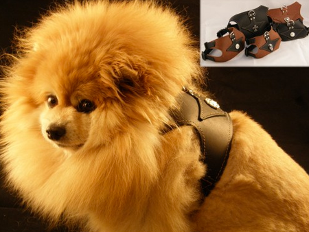 Jasmine in Black on Black with Concho